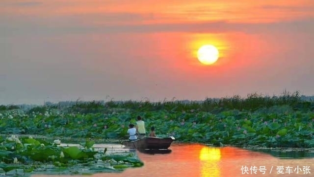 自助性|北上广曹，山东曹县有一小众宝藏旅游地，5万亩水面好玩还免费