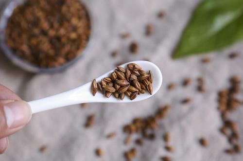 体硒双素|肺病的“发物”并非洋葱，而是“这3物”，肺不好的人或许应远离