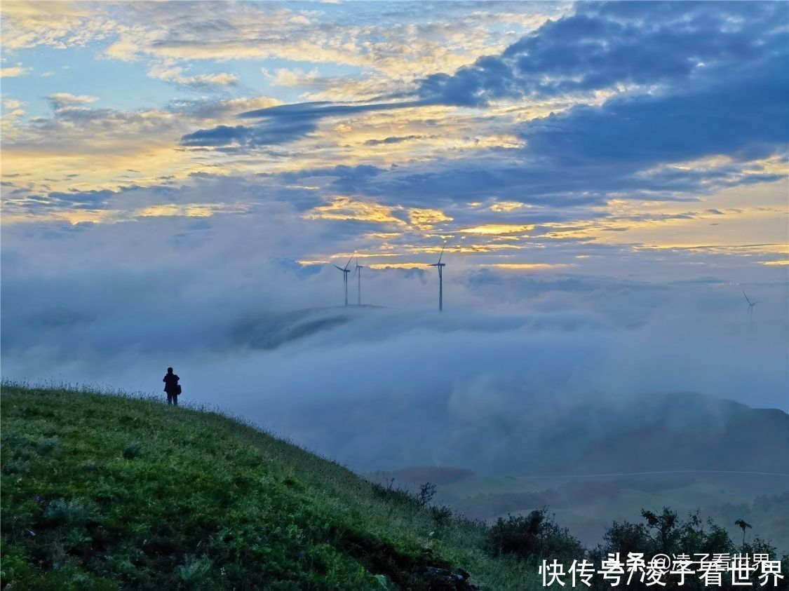 千松坝森林公园|治愈系美景，自驾者的天堂，千松坝森林公园暑假旅行的最佳地