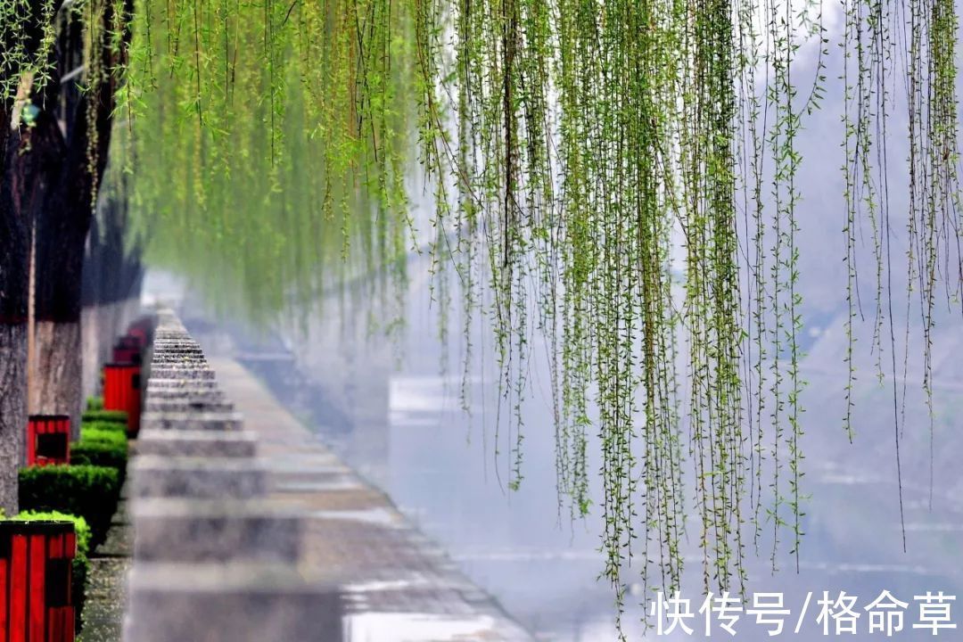 温庭筠&10首早行诗词｜寂寞小桥和梦过，稻田深处草虫鸣