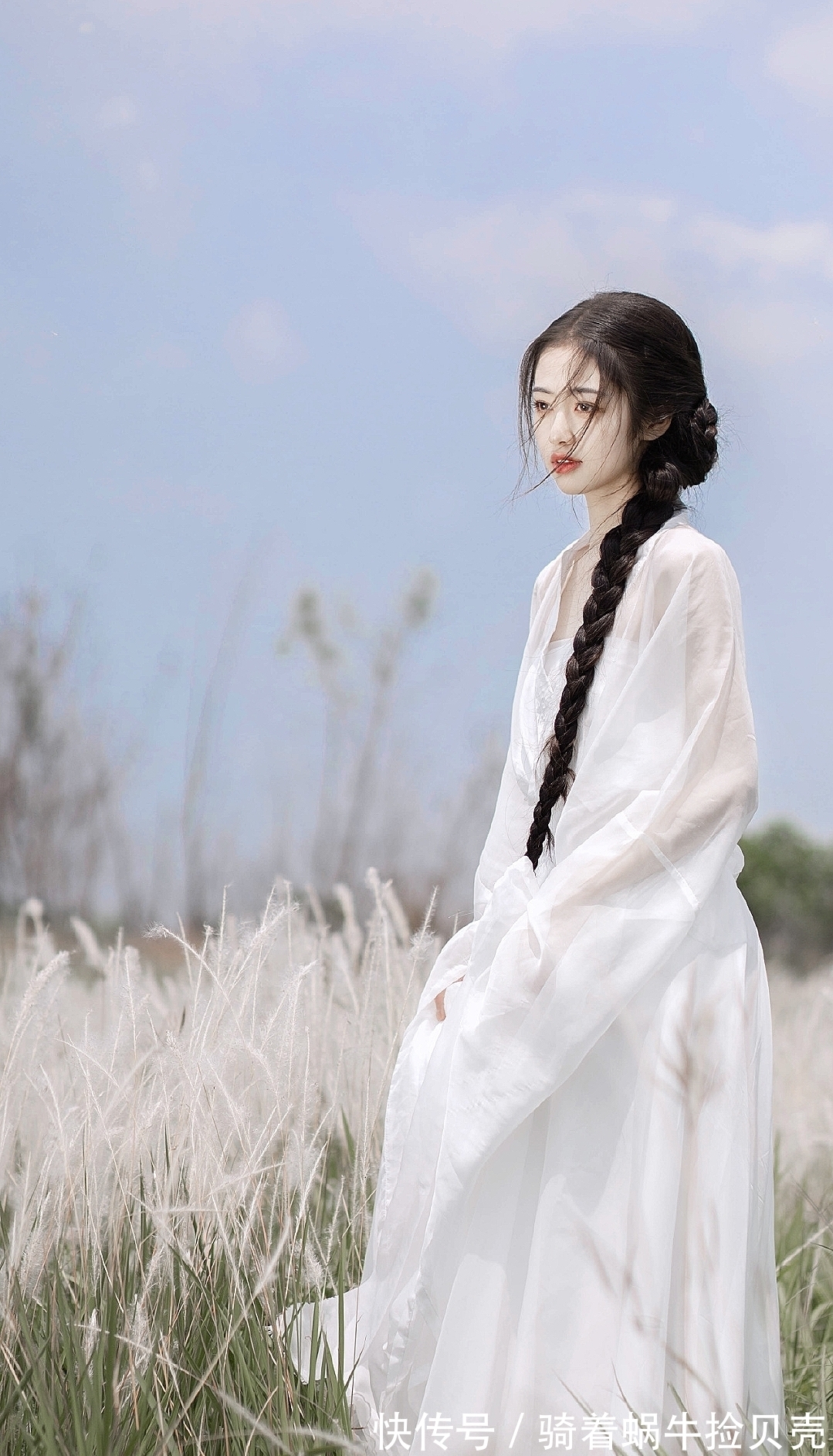 百事哀|元稹的《遣悲怀》:悼亡绝唱,纸短情长,最后14字流传1000多年