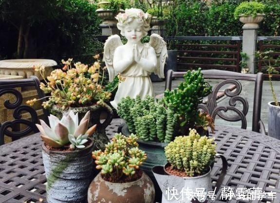 浇水|养花浇水是“功夫”,记住1个“原则”,永远浇不死,越长越旺!