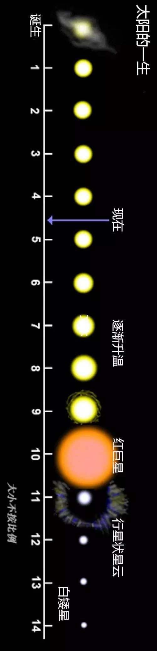 图说宇宙,一分钟让你读懂太阳的一生!