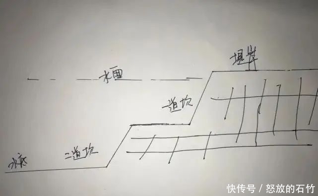 鲤鱼|夏季野钓别老盯着深水!这几个地方也藏大鱼,我替你们试过了