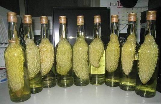 大妈把苦瓜套上玻璃瓶,被邻居们嘲笑,结果几个月后让人羡慕