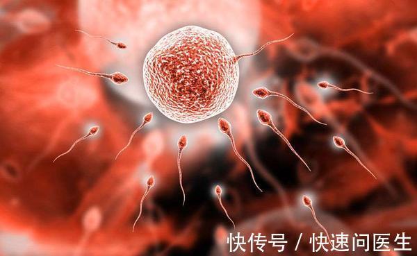 卵子|如何判断女性排卵期?除了计算周期,身体这些变化也是“信号”!