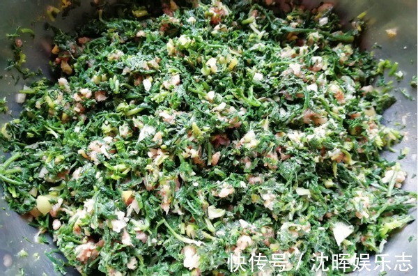 开春该吃啥这野菜包饺子正适合，清香可口味道好，鲜得忘不了