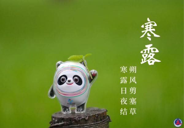 二十四节气#冰墩墩打卡二十四节气·寒露