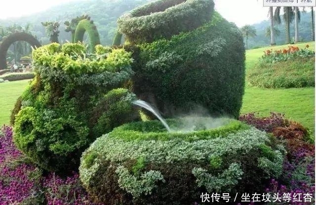 塑造|植物塑造出来的造型简直美炸了,你见过这样的植物吗?