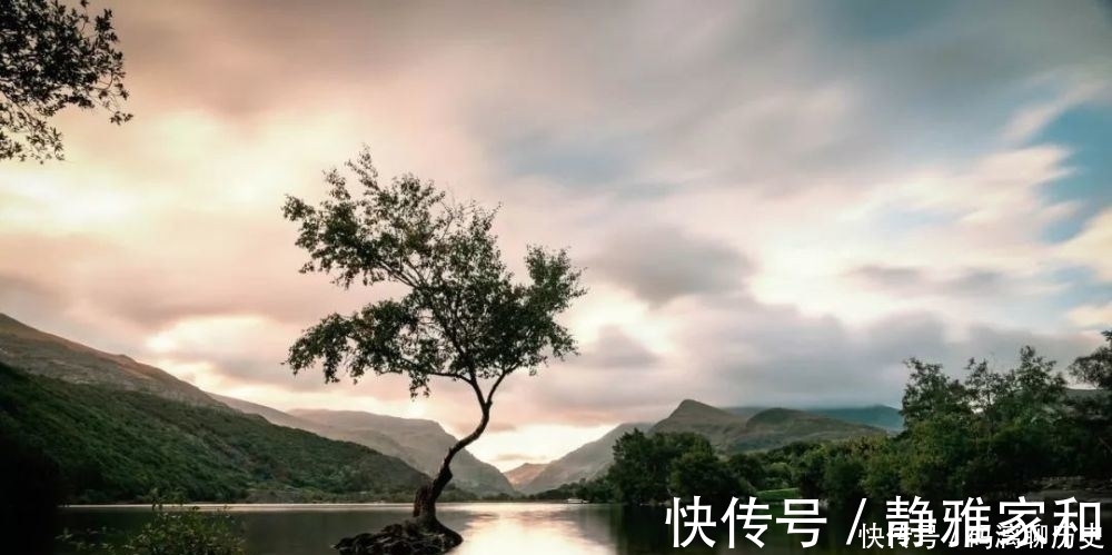 天使@一篇难得的绝世好文,值得所有人品读!