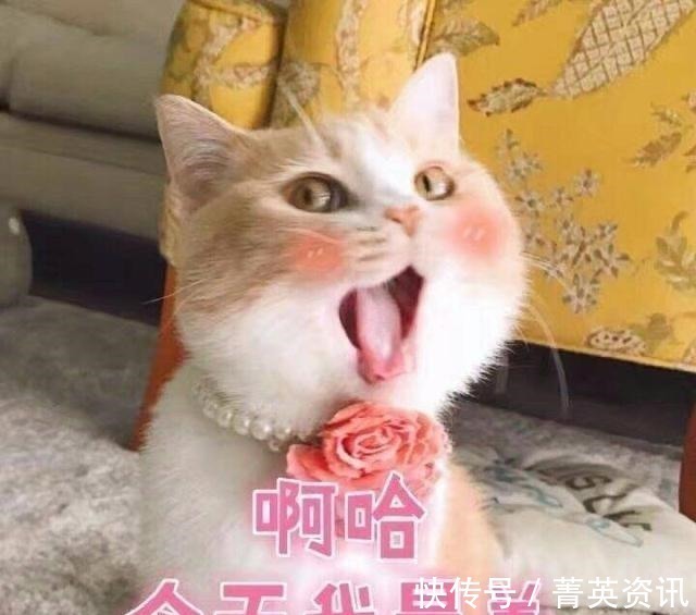 防辐射服|容易“吃灰”的5个母婴用品,不是怕花钱,孕妈:是真的用不上