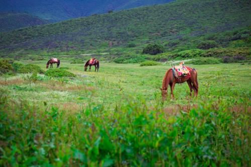 四川最适合旅居的5线小城，环境好空气好，这4个景点美不胜收