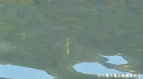 野钓发现3种信号,说明“大家伙”来了,万万不要胡乱提竿