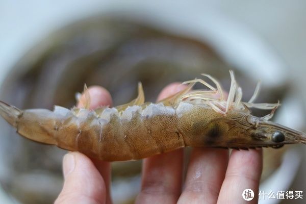大盘|大虾最鲜美的吃法,入口弹牙眉毛都鲜掉了,18元一大盘