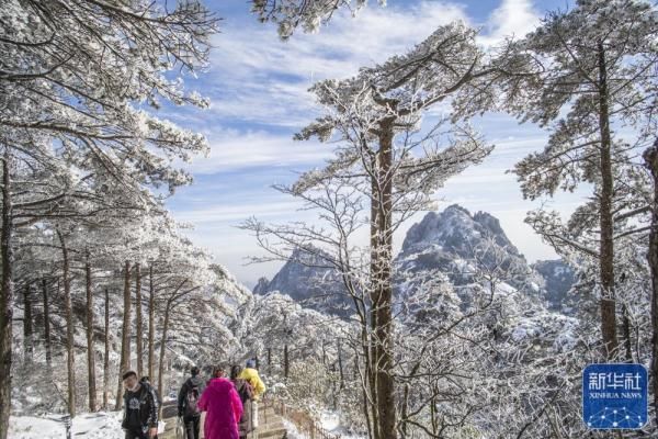 黄山风景区|雪后黄山美图来了！银装素裹，宛如仙境