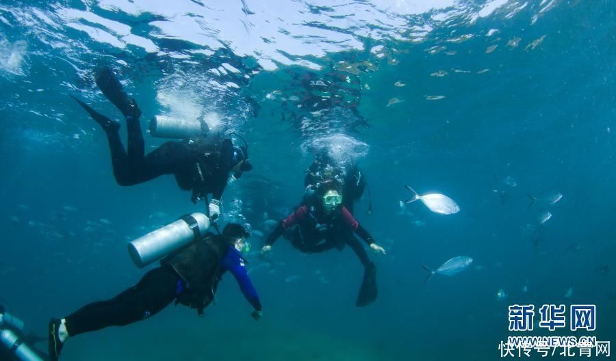 海南三亚：潜水享假期