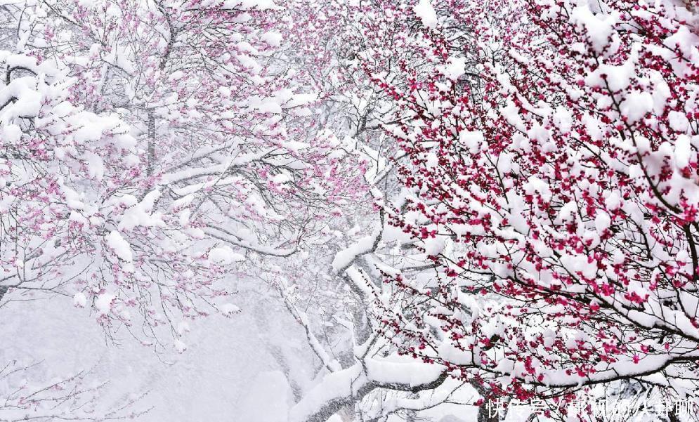 杨万里|杨万里黄昏赏雪,写下首调皮的经典咏雪诗,无一雪字却句句写雪