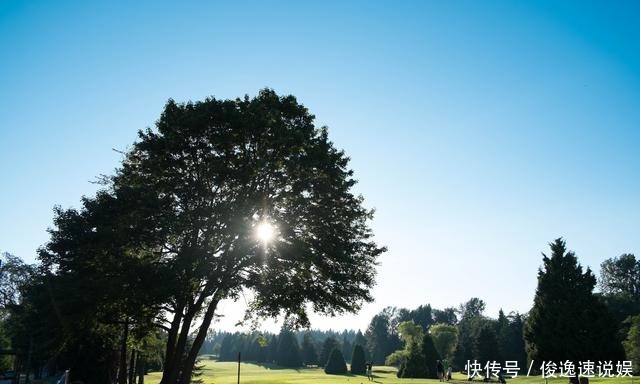 在温哥华街角，我邂逅到了“丁真”