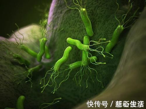养胃|幽门螺杆菌“劲敌”已公布,不是大蒜,常吃胃一天比一天强壮!