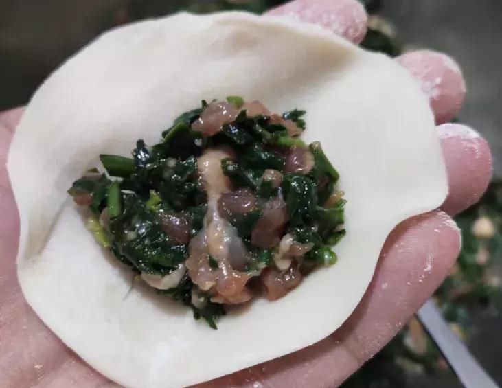 天冷了用它包饺子,比韭菜馅好吃,嘴巴不臭了,排出宿便,体重2位数