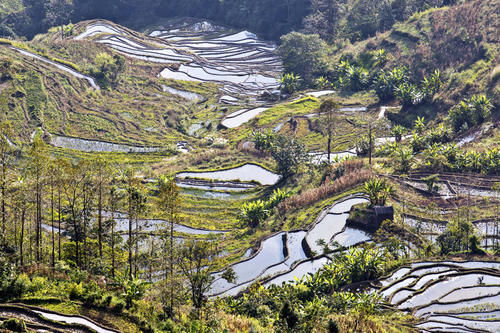 梯田|山势最险峻复杂、气势最恢宏壮观，大地雕塑最高典范，老虎嘴梯田