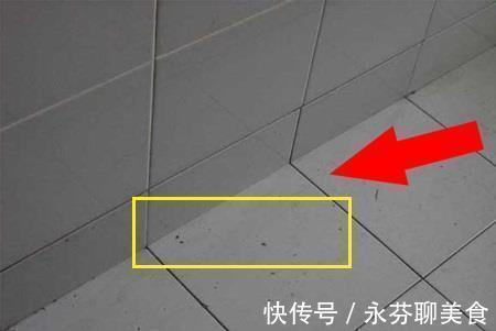 卫生间|头次见卫生间贴瓷砖留空一排,以为工人偷工减料,听完才知好处多
