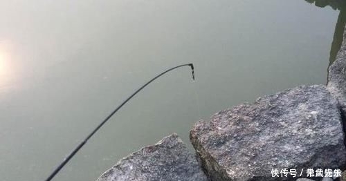 河里钓了几条鱼，老大爷叫它“蟹虎鱼”，这些鱼能吃吗，求鉴定