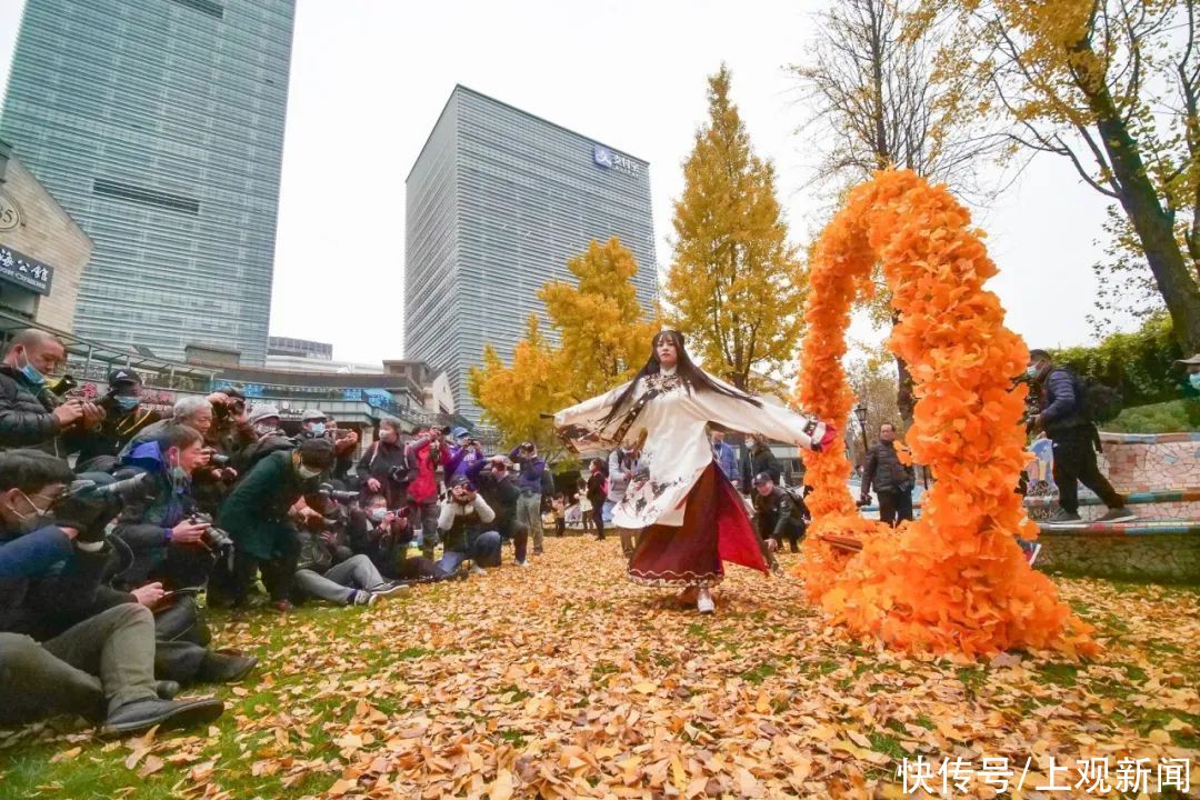 花园|百年花园中的银杏迎来颜值“巅峰”，观赏季将持续至12月中下旬