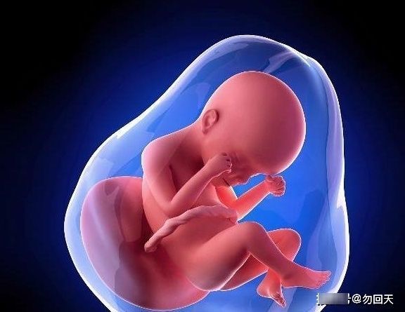 肚子|同样是怀孕,有的不显怀,有的肚子却大得像球?可能离不开这4点