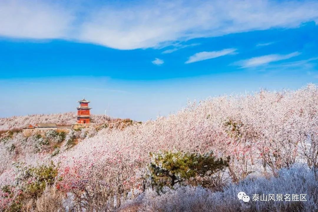 老年|跟随姚鼐的散文《登泰山记》冬览泰山