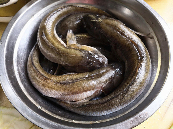 被人“误会”最多的鱼,全身都是宝,比甲鱼营养,6元1斤很便宜