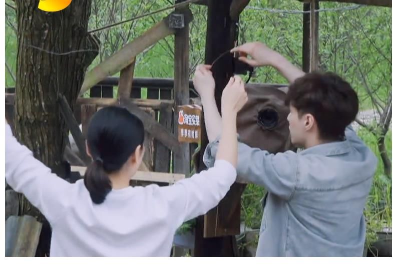 泥鳅|张艺兴拒绝抓泥鳅，表现不如飞行女嘉宾，黄磊担心的事情发生了