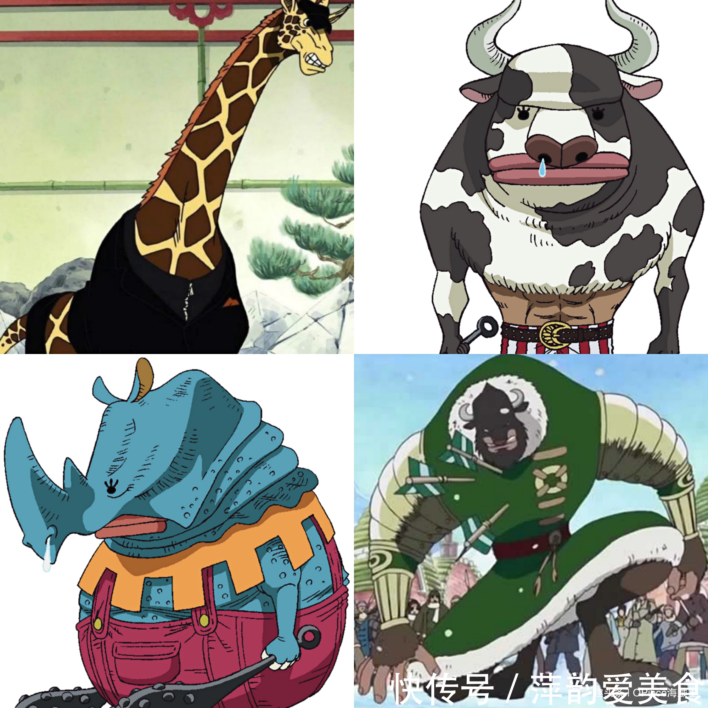 九尾狐|海賊王:奇妙的動物系,同名果實存在多種形態!龍龍果實多達5顆