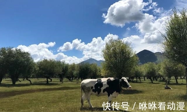 撼路者|游记丨向着喜马拉雅重走“唐竺古道”，发现另一种西藏