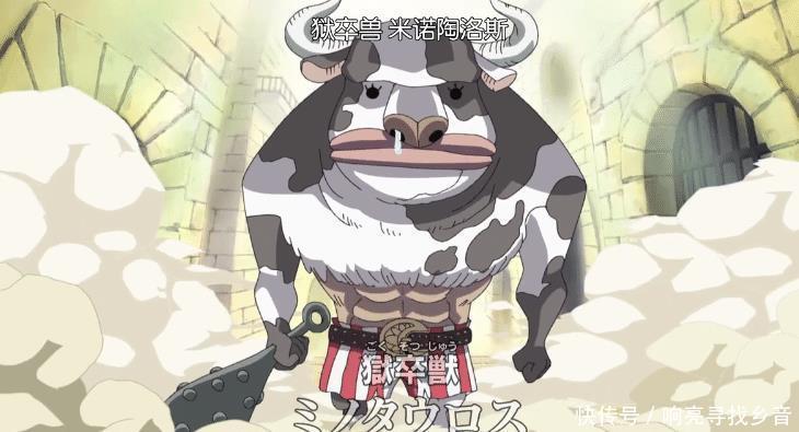 之身|海贼王凯多不死之身的关键在于果实觉醒,黑胡子捡漏可将其击杀!