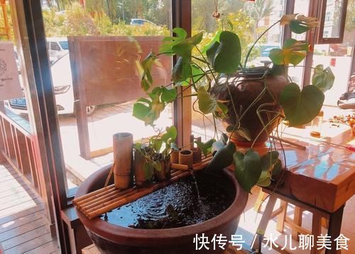 养桩不光要养活,枝条长粗才重要,6个技巧要掌握好,施肥长得快