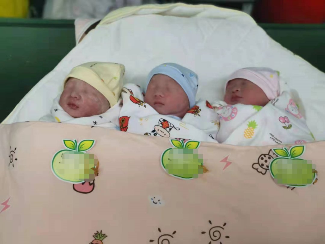 市医院|大年初一喜得三胞胎，巴彦淖尔市医院的虎宝宝争相来报到