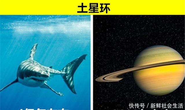 婚纱 原以为历史很悠久,但实际却恰恰相反的7种不同事物!