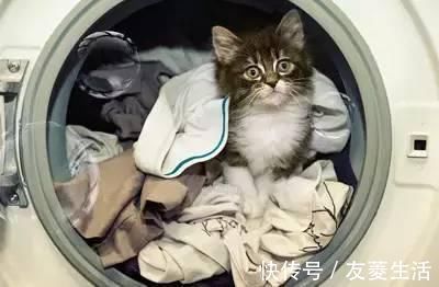 羽绒服再也不用出去洗，教你一招立刻弄干净！