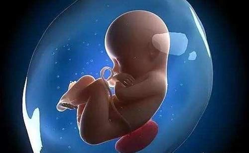 皮下脂肪|怀孕8个月,孕33周到36周,胎儿发育情况是怎样的?