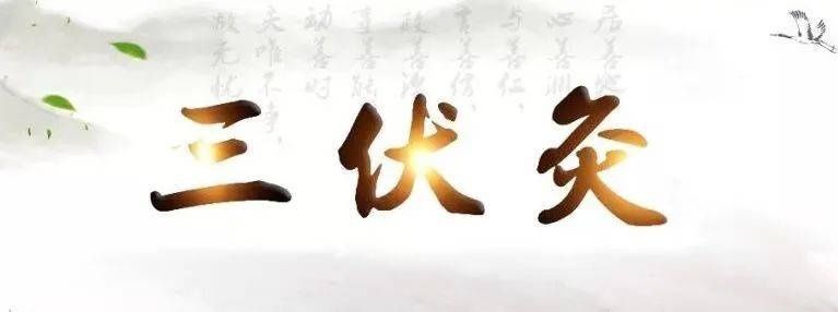 三伏灸|三伏天做三伏灸 能治哪些病?适合哪些人?【浦东医生话养生】