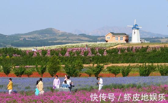 景区|日照一低调美丽景区，鲜花环绕拍照打卡圣地，知道的人却很少