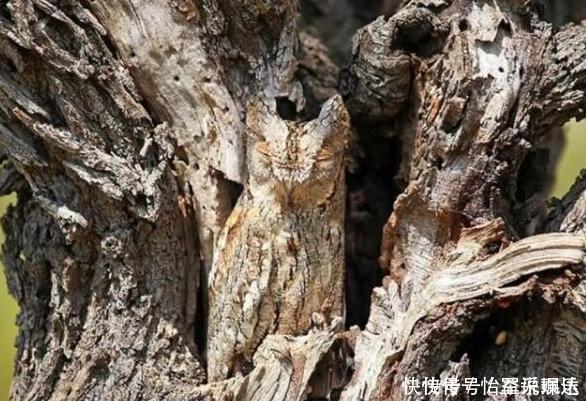 安享晚年|权威痴呆测试:80分以上的人大脑还很健康,安享晚年不成女儿包袱