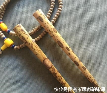 原来这6种竹子也可以把玩，盘后效果也是非常喜人的