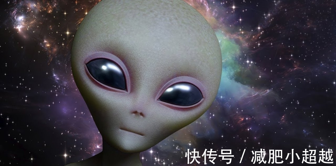 机器|智能机器逐渐成熟,人们的体质越来越弱,人类的历史将会走向何方