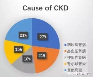 肾脏病|患了肾病，多久会尿毒症？这类肾病最快会毒