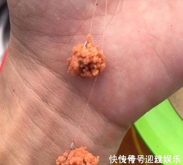 拉饵|难怪你的饵团一拉就散,原来是少了这一步!新手开拉饵须知