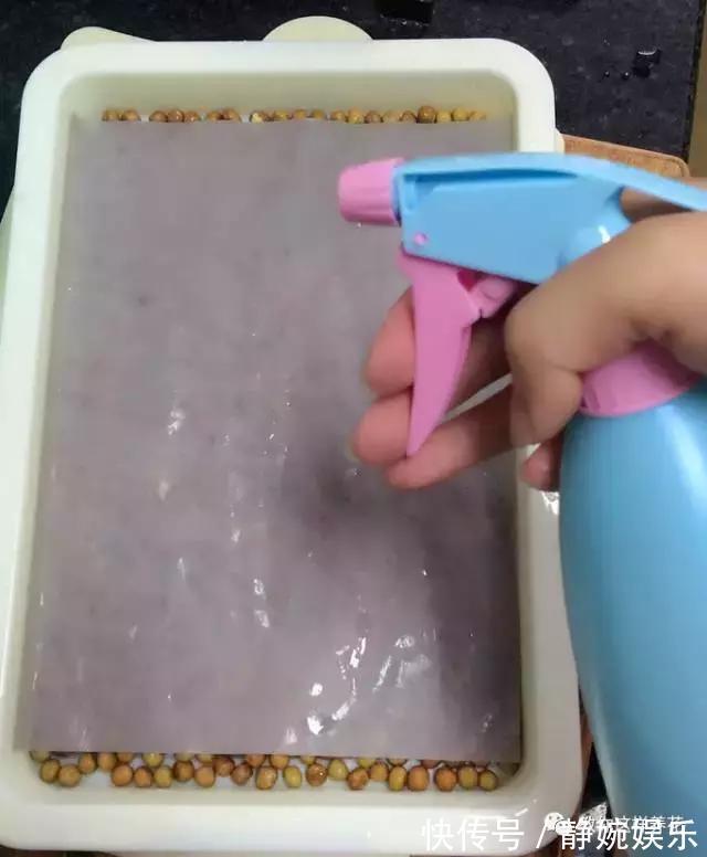 学会纸上种菜,在家就能做菜农,青菜不用买!