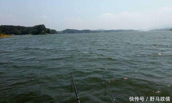 氧气|夏季钓鱼逐氧逐温,这些位置鱼儿成群,连竿上鱼很轻松