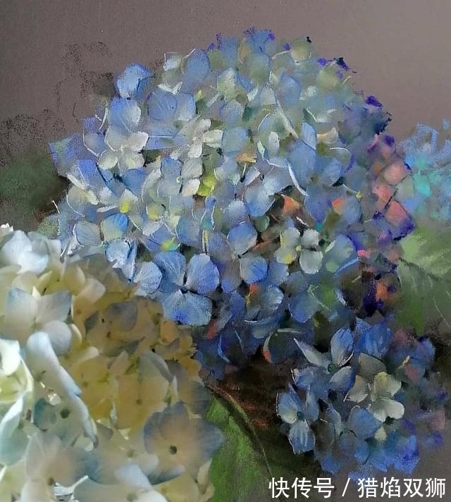 粉画#他可以赋予花卉作品不同的质感,那种柔和自美,赏心悦目!